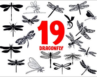 Dragonfly Clipart Svg Dragonfly Svg Transparent Free For Download On Webstockreview 2020