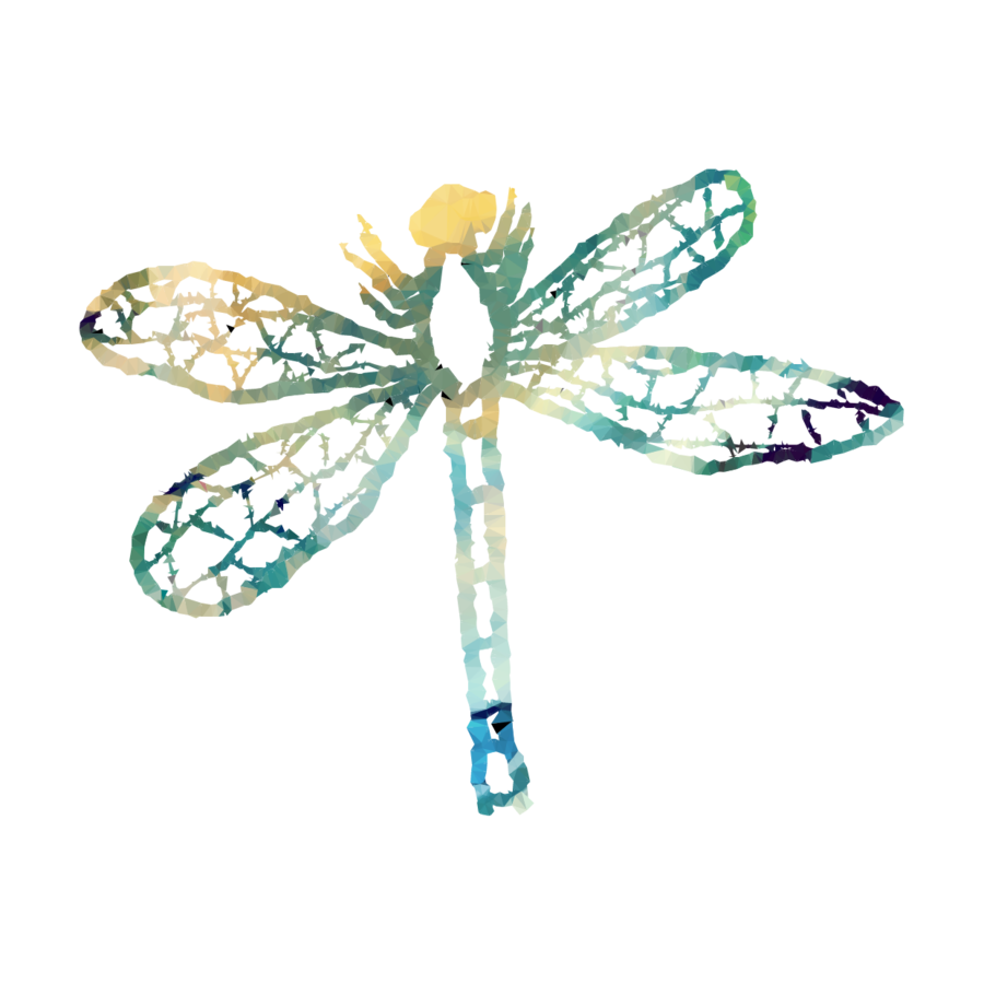 Dragonfly clipart turquoise. Dragonflies and damseflies insect
