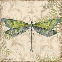 dragonfly clipart vintage