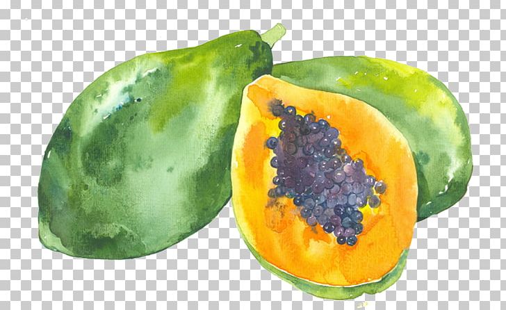Watercolor painting illustration png. Draw clipart creative work