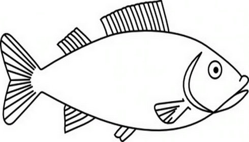 Fish clipart line art. Free drawing outline download