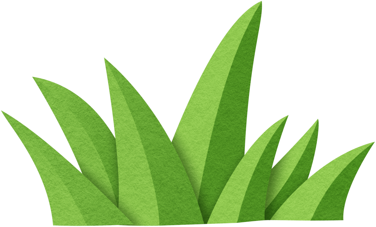 outdoors clipart land plant