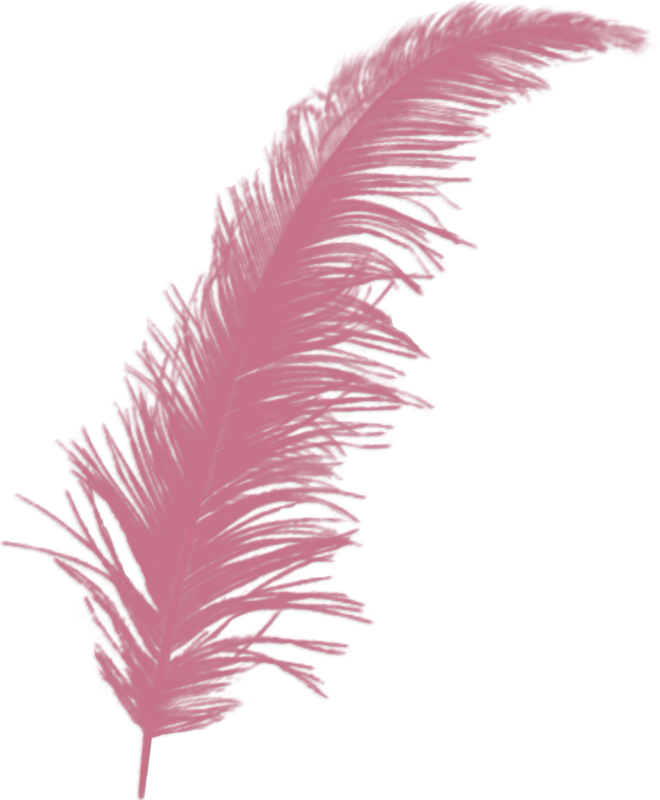 dreamcatcher clipart coral