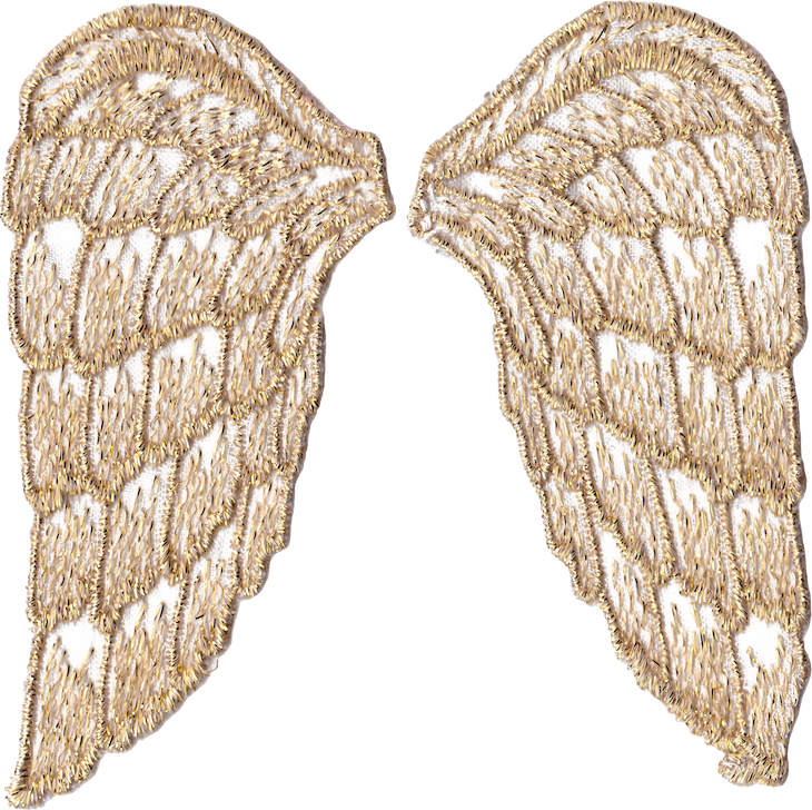 Goldangelwings wingsofwhimsy kopi png. Wing clipart pair wing
