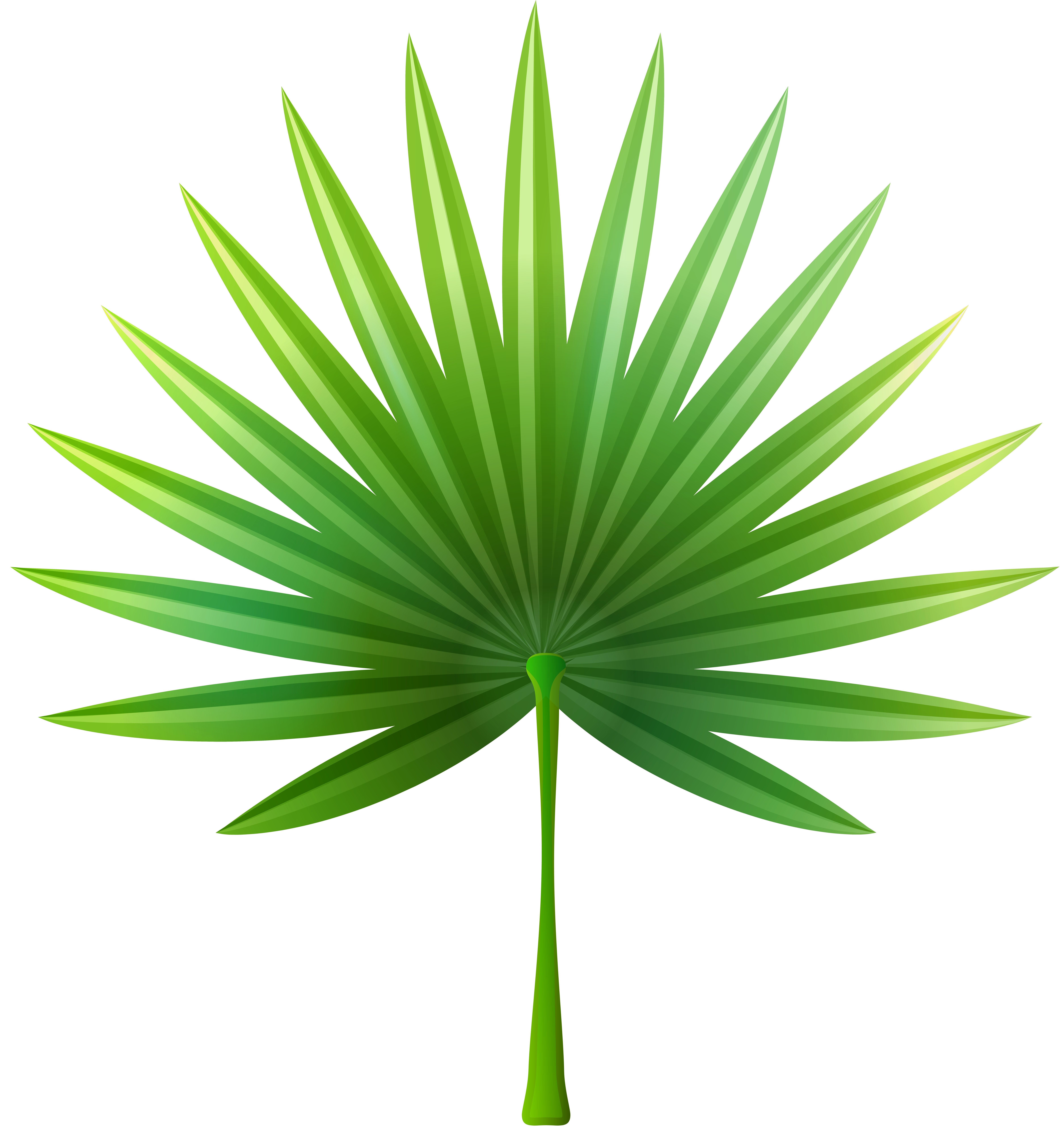 Drink clipart exotic. Leaf png clip art