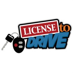drivers license clipart clip art