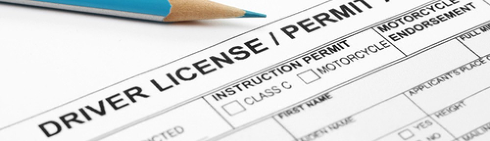 drivers license clipart permit