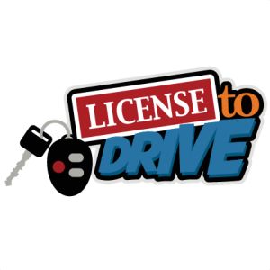 drivers license clipart