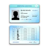 drivers license clipart blank