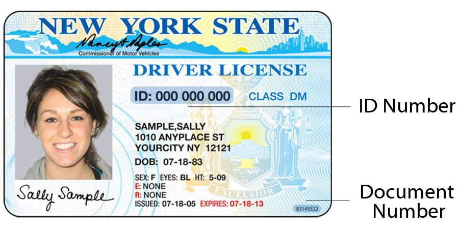drivers license clipart photo id