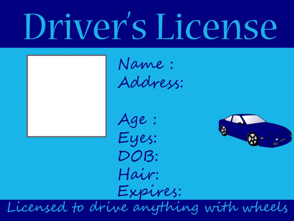 drivers license clipart template