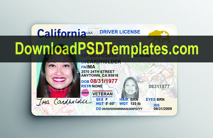 driver license photoshop template