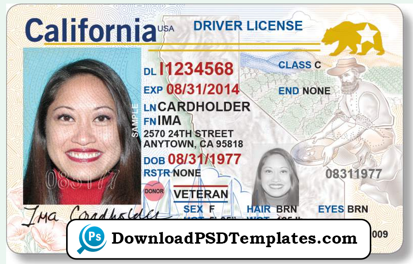 Download Psd Templates Driver License Psd