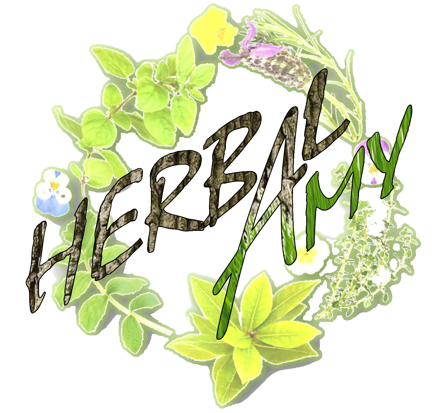 drug clipart herbal medicine