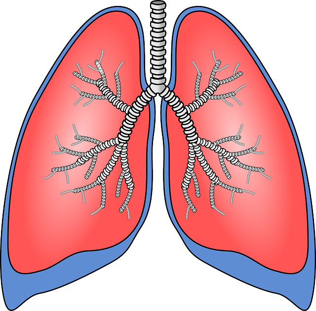 New lung cancer drug. Humans clipart ribcage