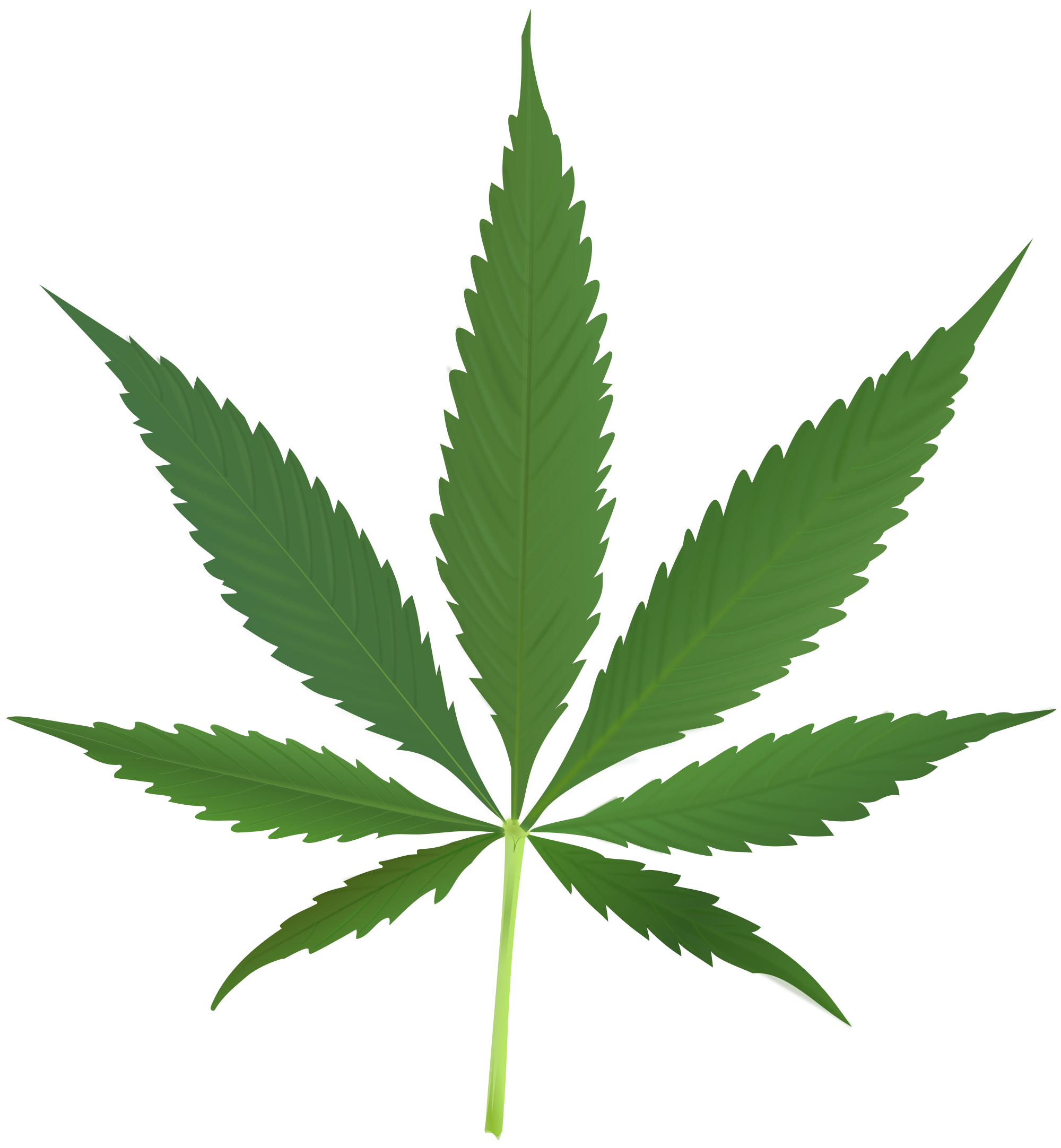 Drugs clipart hemp. Cannabis png image purepng