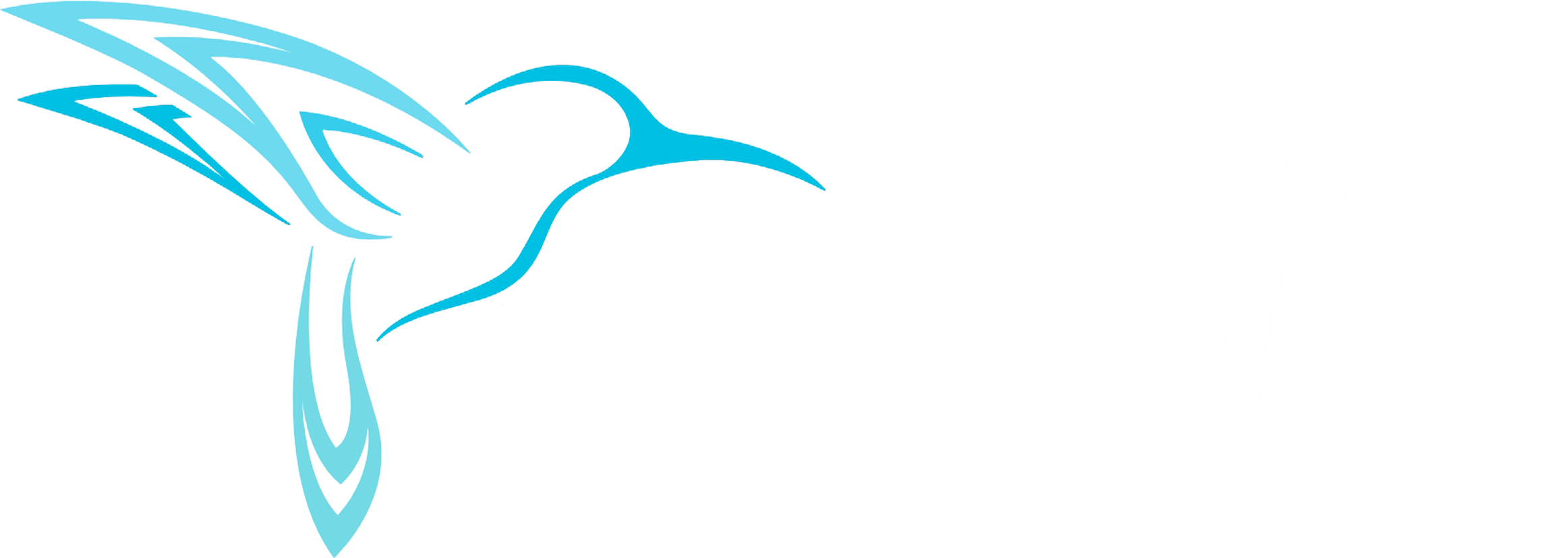 drum clipart sangeet