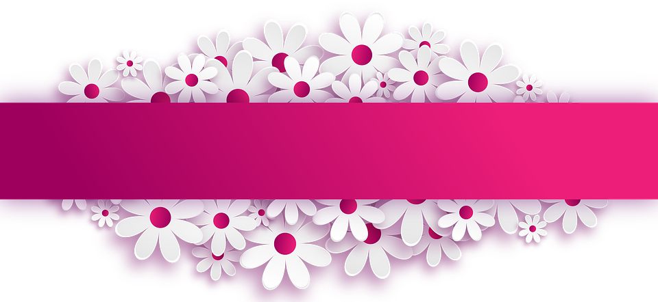 hibiscus clipart banner