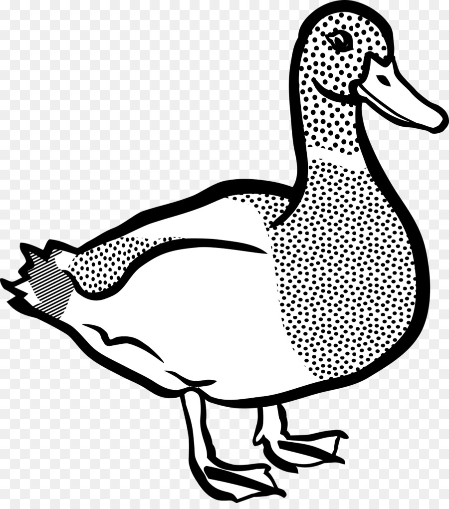 Line art duck illustration. Ducks clipart bird
