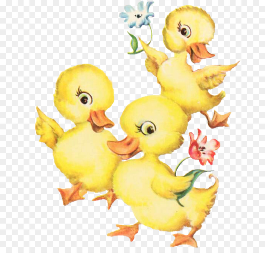 duck clipart chicken