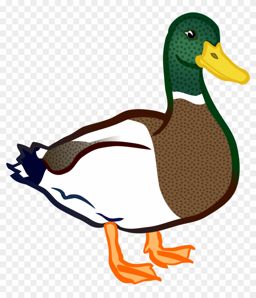 duck clipart colored