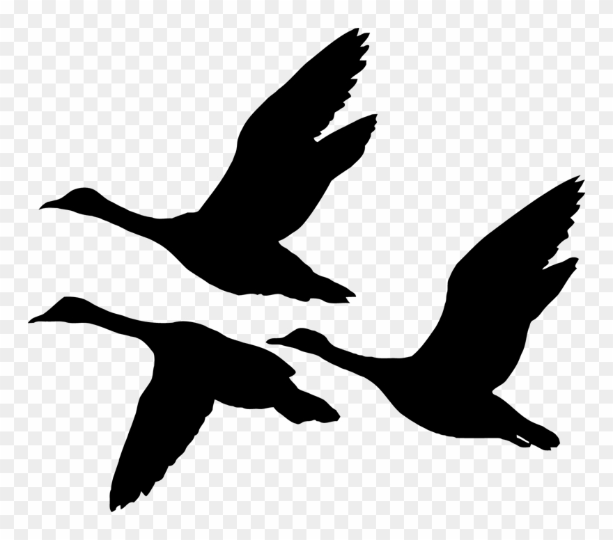 goose clipart birds flying high