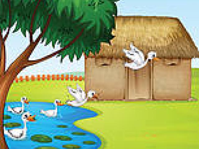 duck clipart home