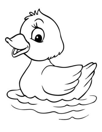 Black and white animals. Duck clipart kid