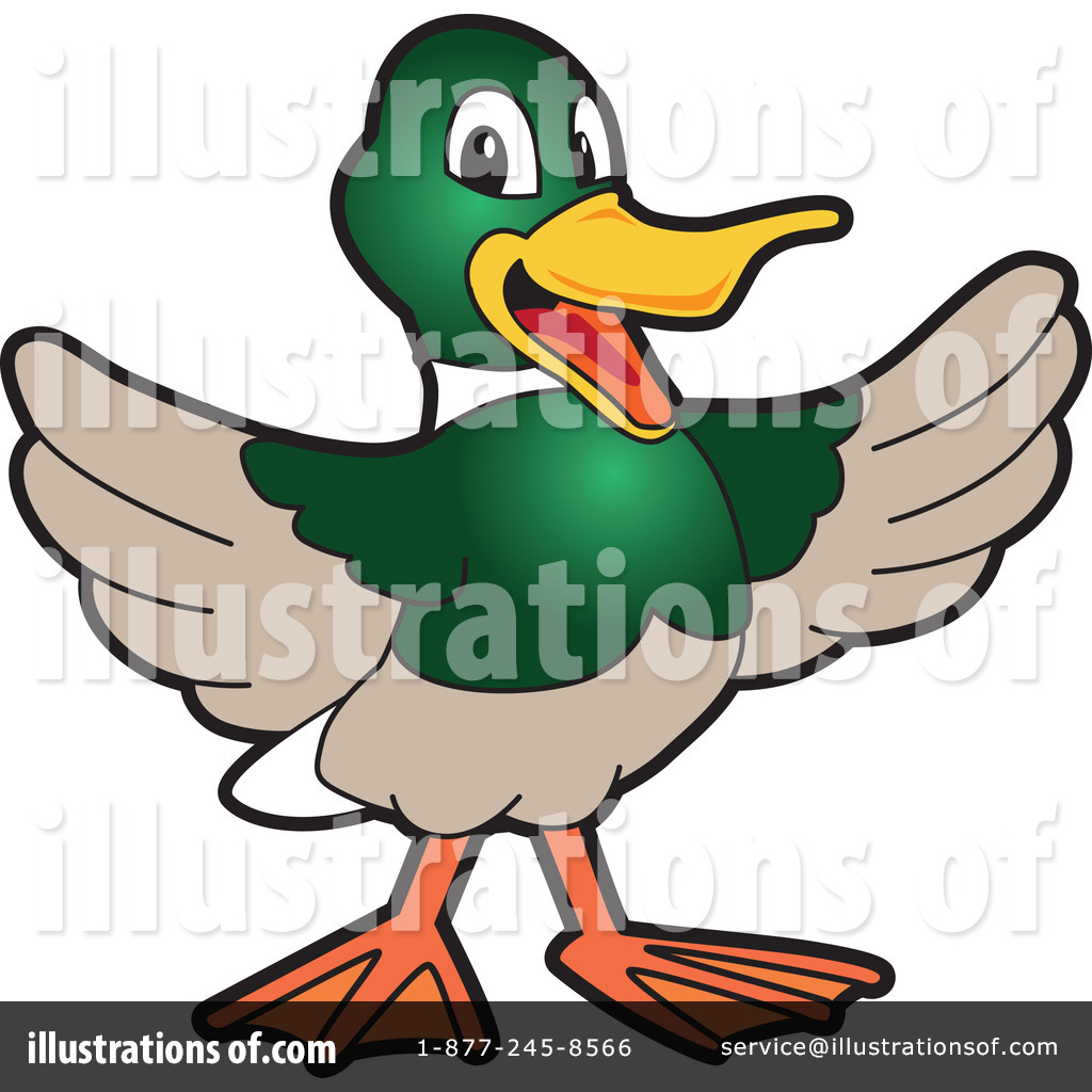 duck clipart malard