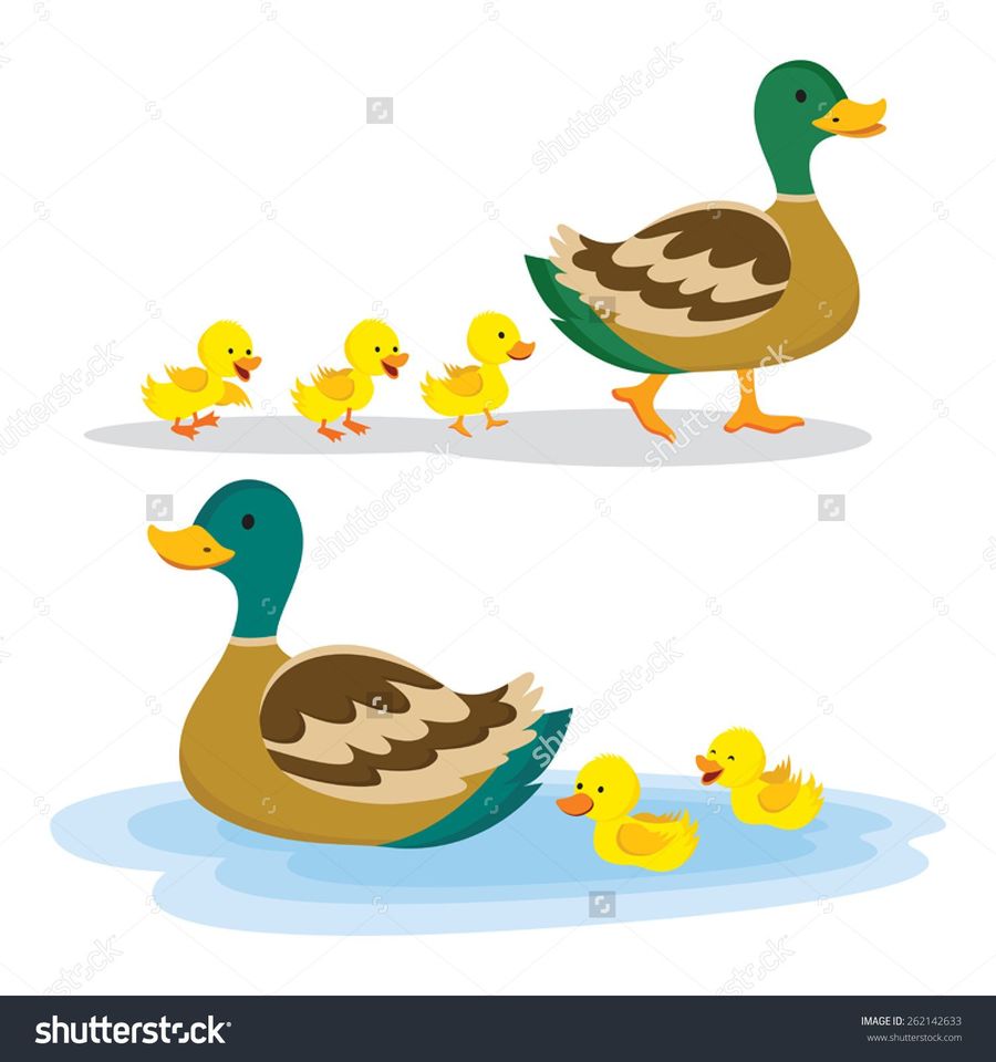 Ducks clipart momma duck. Download mama and baby