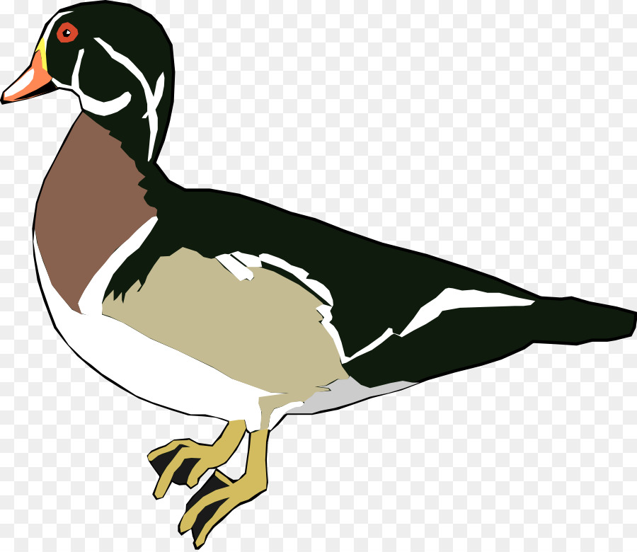 Donald download clip art. Duck clipart muscovy duck
