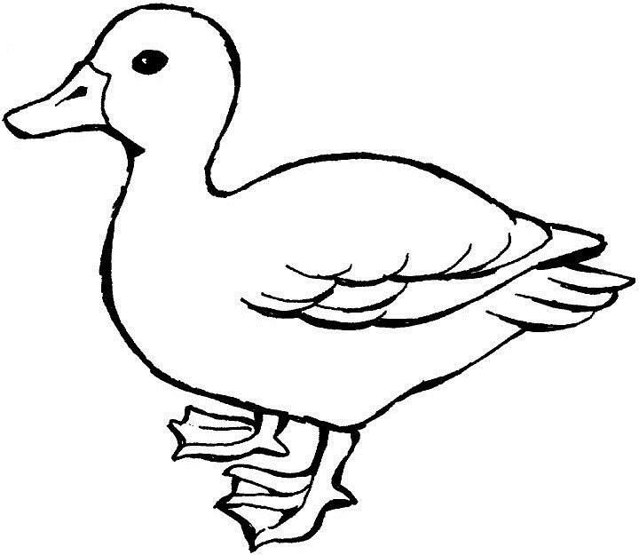 duck clipart outline