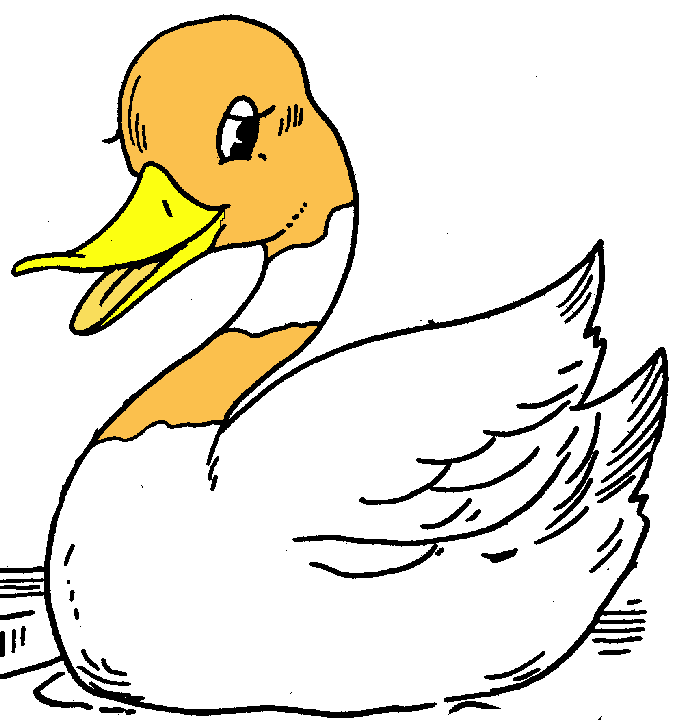 Duckling clipart female duck. Free cliparts download clip