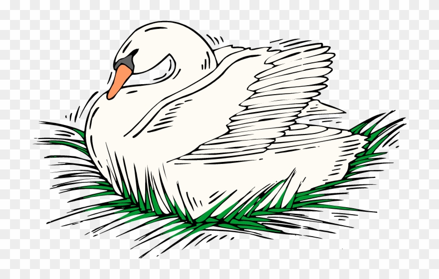 duck clipart swan