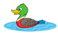 duck clipart water