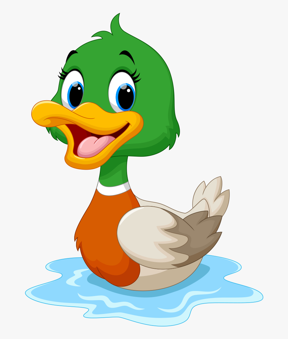 Duck png in free. Duckling clipart water
