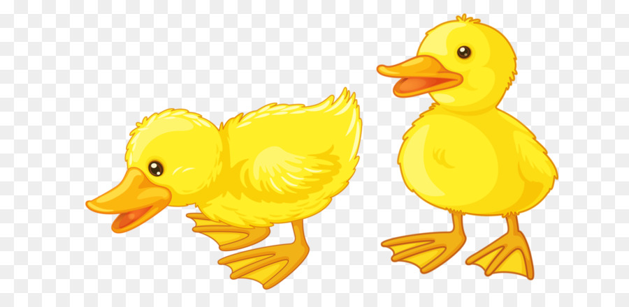 Duckling clipart. Baby ducks clip art