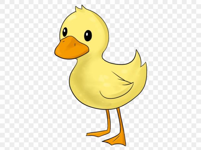 duckling clipart 5 duck