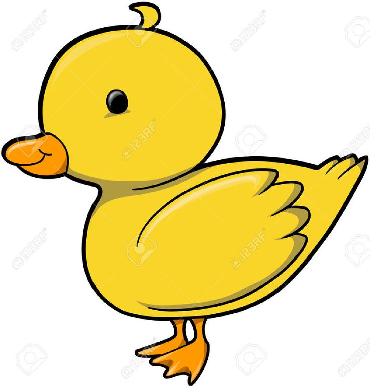 Station . Duckling clipart