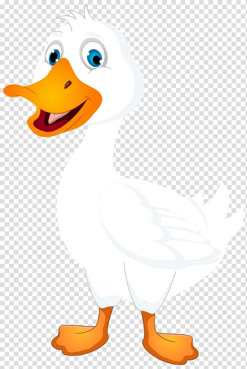 Ducks clipart three duck. White duckling illustration cartoon