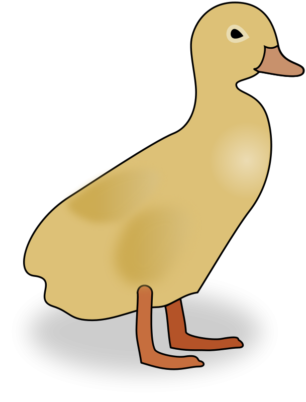 duckling clipart bird