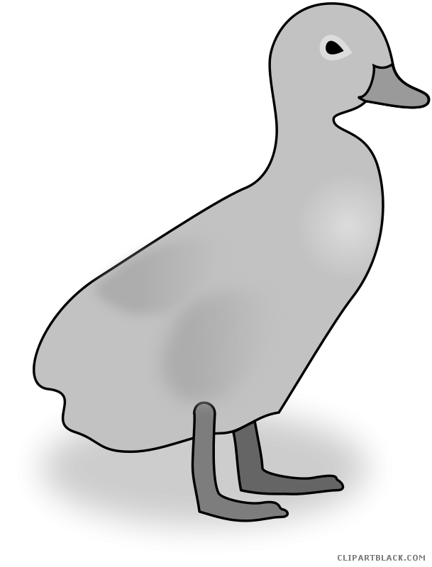 Duckling clipart black and white. Animal free images clipartblack