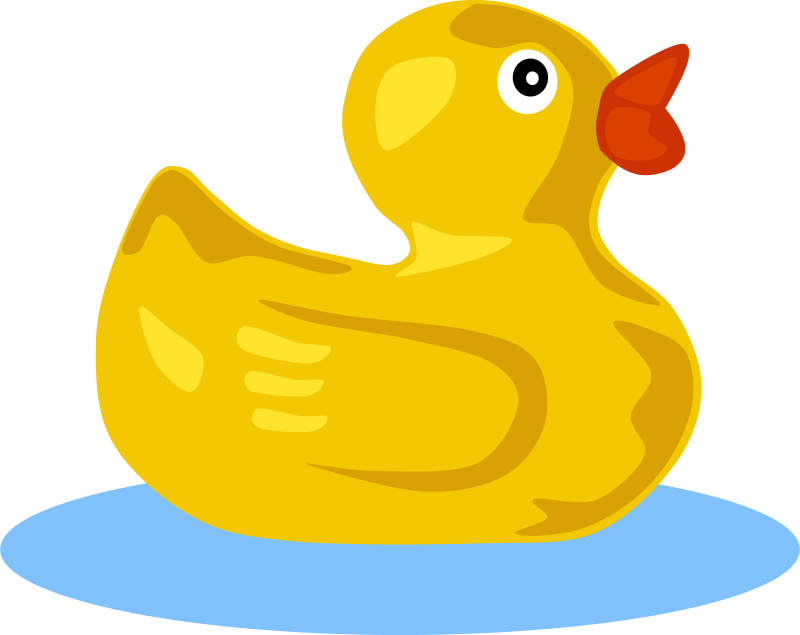 Rubber ducky frames illustrations. Duckling clipart brood