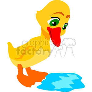 Ducks clipart puddle clipart. Little duck looking at