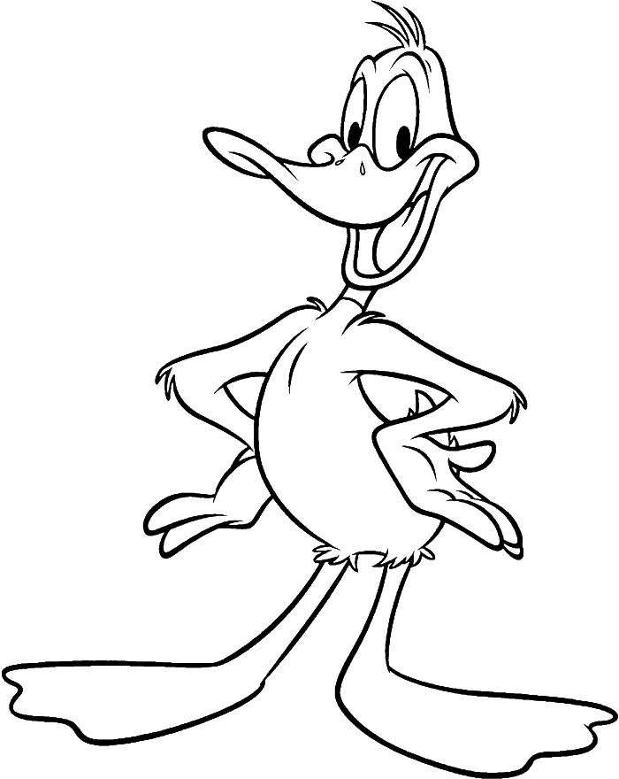 Duckling clipart colouring page.  collection of daffy
