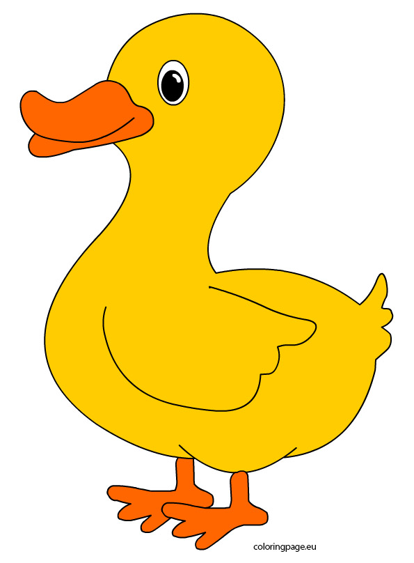 Duckling clipart cute. Duck pictures free download
