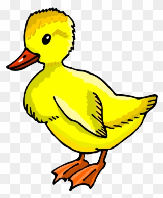 duckling clipart duck bill