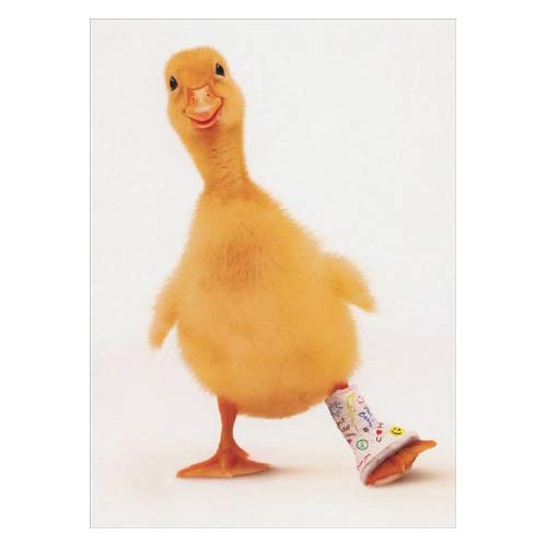 Photographic greeting card gbbc. Duckling clipart duck leg