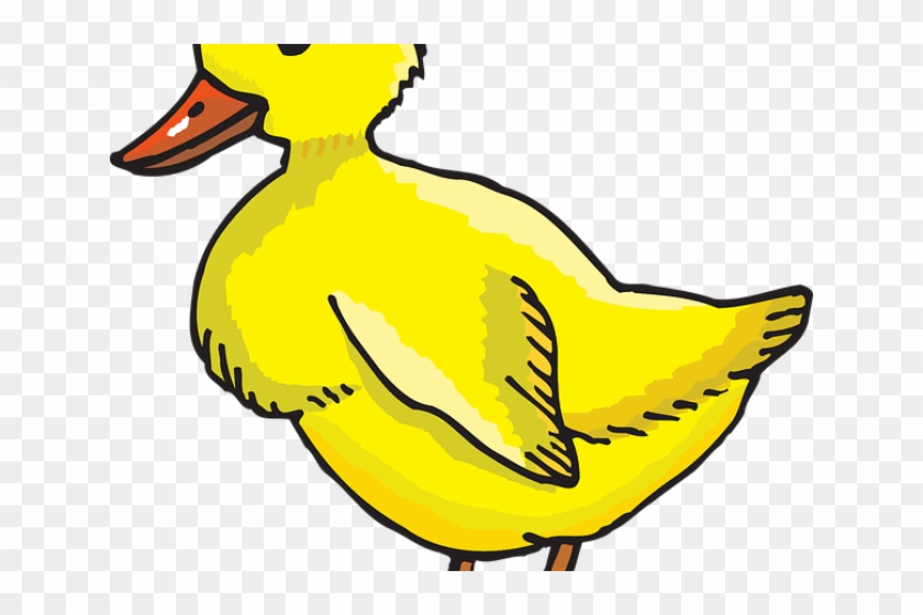 duckling clipart duck tail