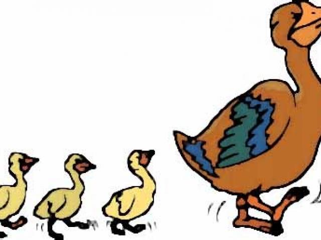 Ducks clipart duck waddle. Free duckling download clip